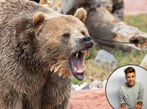 Justin Bieber, Bear Justin Bieber, Bear